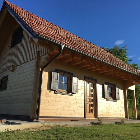 Loghouse Brunka - Escape From Life On A Highway Villa Gornja Radgona Exterior foto