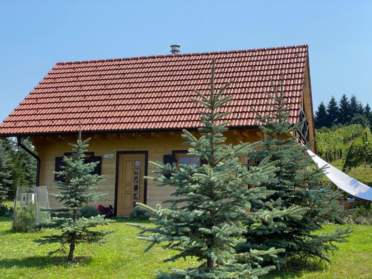 Loghouse Brunka - Escape From Life On A Highway Villa Gornja Radgona Exterior foto